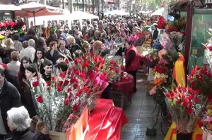 Tipos de rosas para Sant Jordi 2026 y rosas eternas